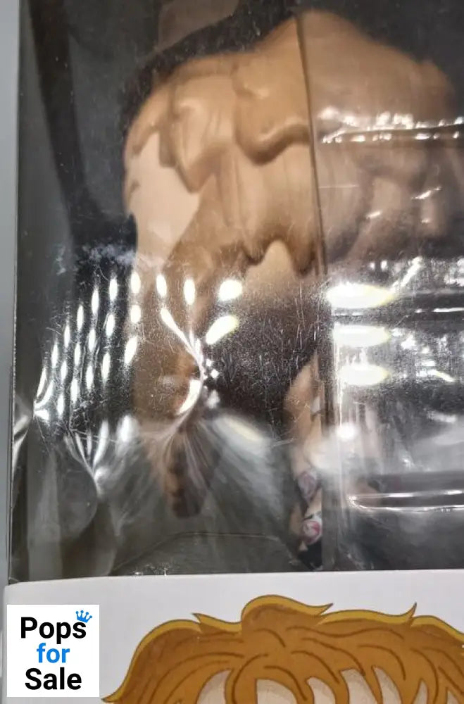 #07 Daniel Bryan (Red Boots) - WWE - Box Damaged Funko POP