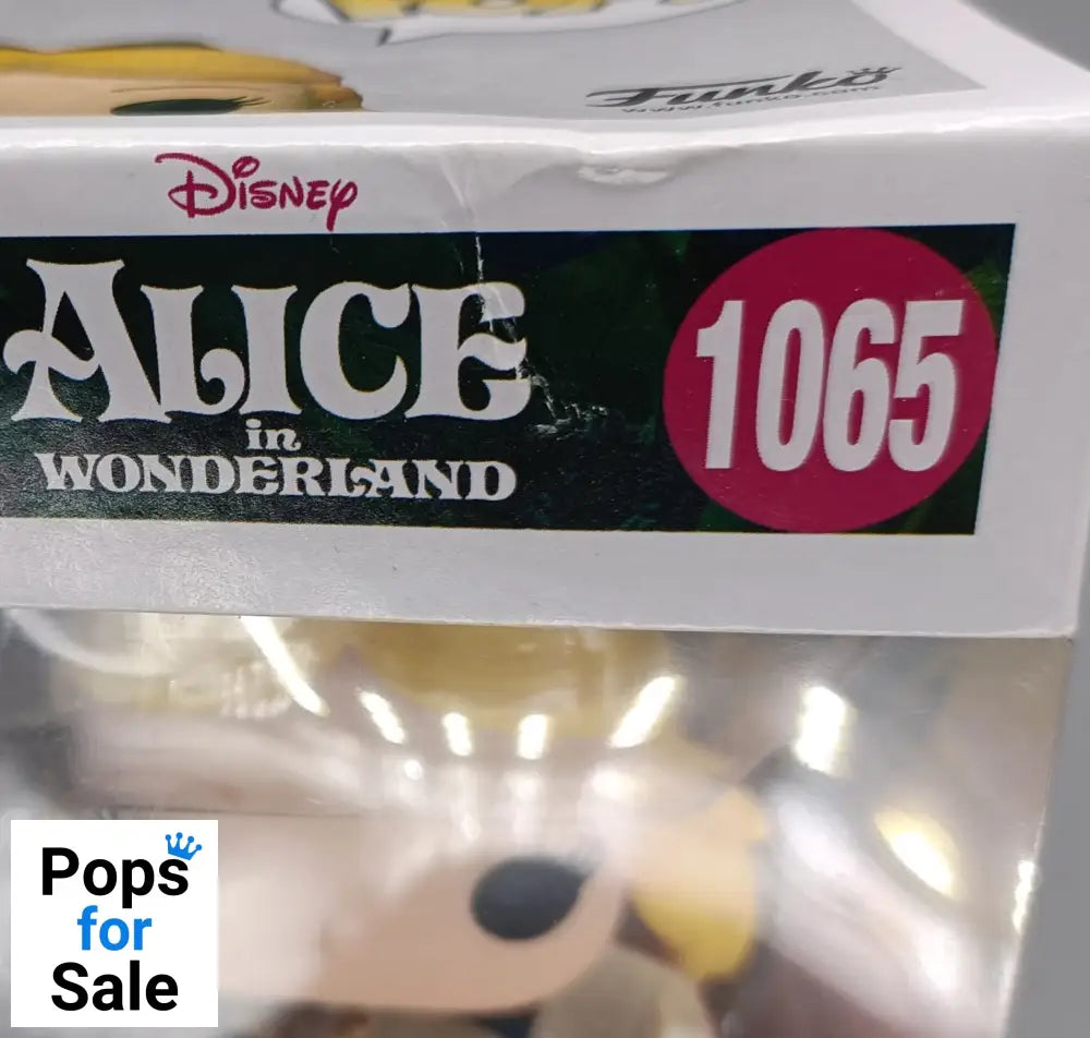 1065 Alice (Falling) - Disney Alice in Wonderland - Funko POP - Box Damaged
