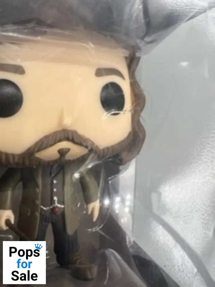 16 Sirius Black - Harry Potter - Funko POP - Box Damaged