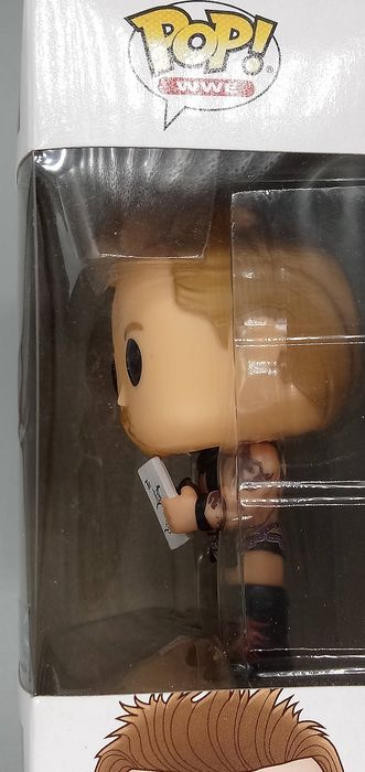 #40 Chris Jericho - WWE - Box Damaged Funko POP
