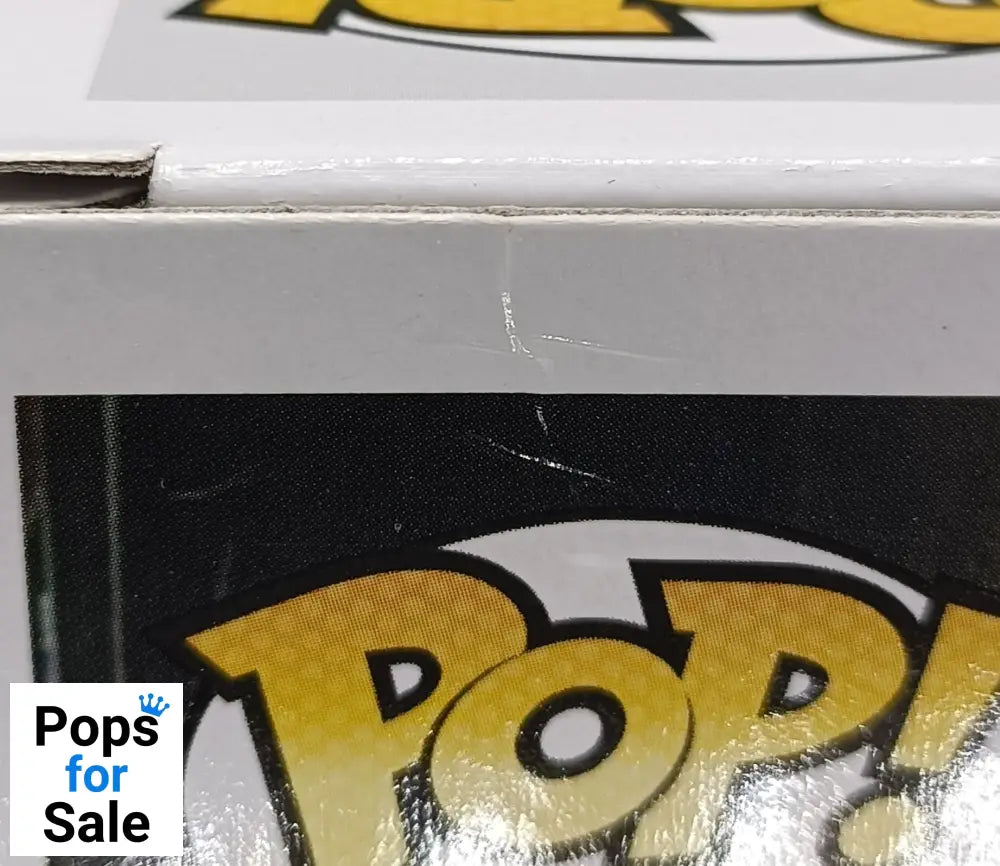 248 Somewhere in Time Eddie - Iron Maiden - Funko POP - Box Damaged