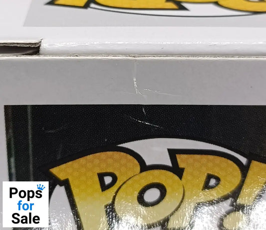 248 Somewhere in Time Eddie - Iron Maiden - Funko POP - Box Damaged