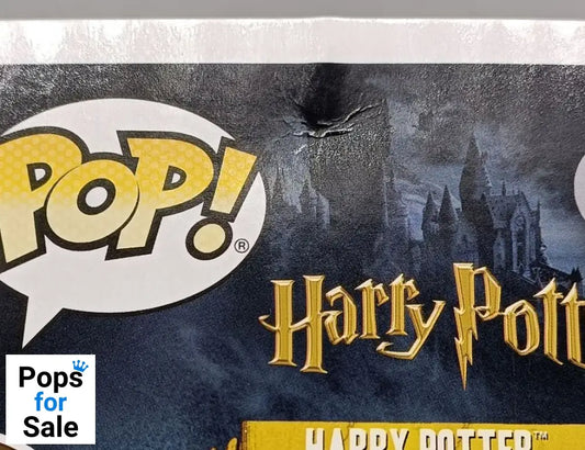 #32 Harry Potter (w/ Prophecy) - Harry Potter - Box Damaged Funko POP