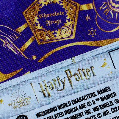 Harry Potter: Chocolate Frog Single Coaster