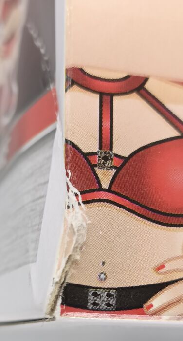 #26 Eva Marie - WWE - Box Damaged Funko POP