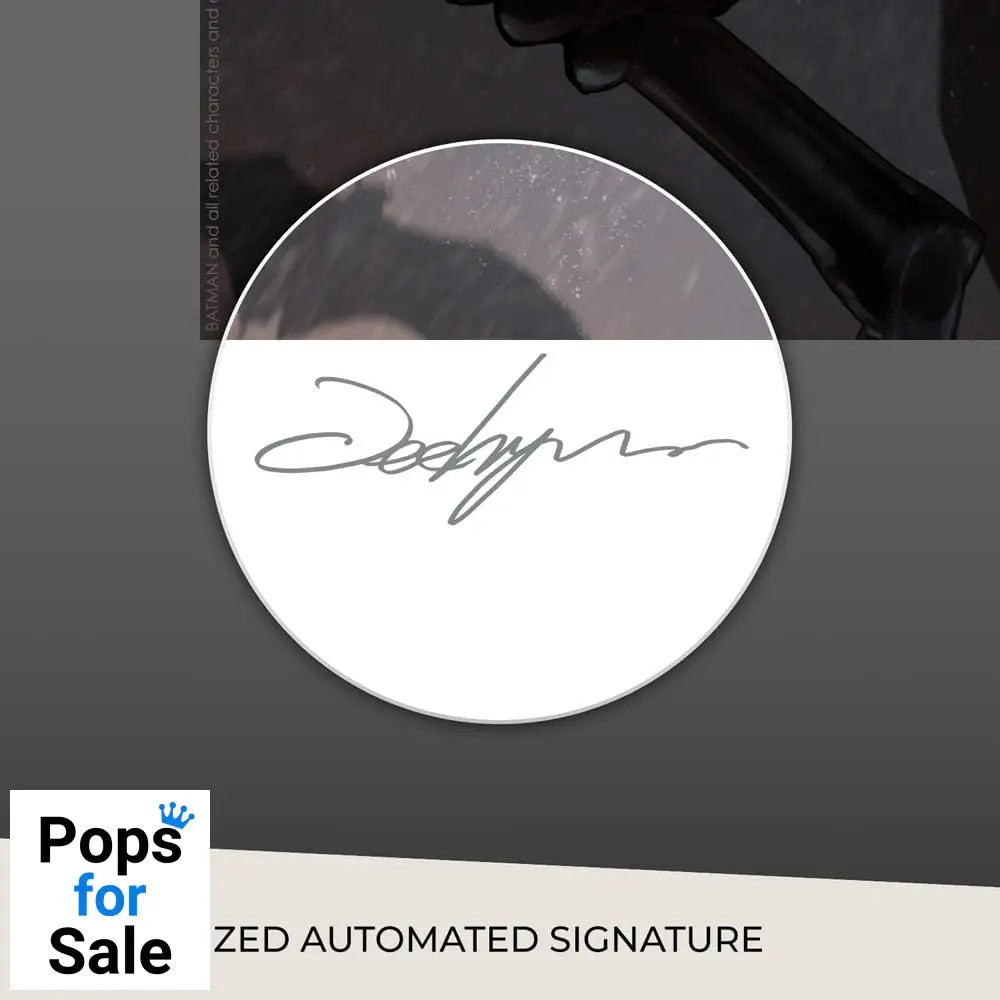 DC Comics Art Print Catwoman 61 x 46 cm - unframed