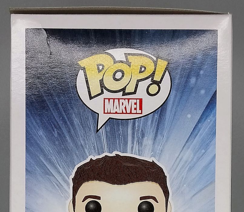#87 Ant-Man (Unmasked) Marvel Collector Corps Box Damaged Funko POP