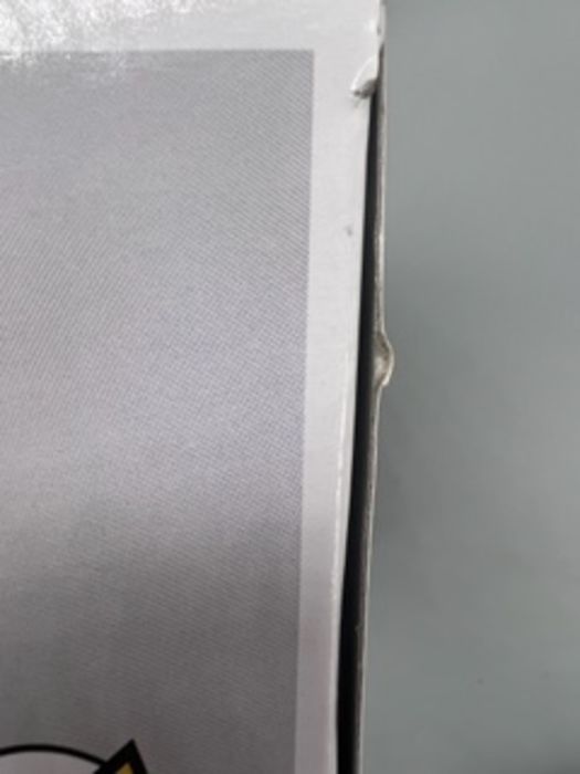 16 Sirius Black - Harry Potter - Funko POP - Box Damaged