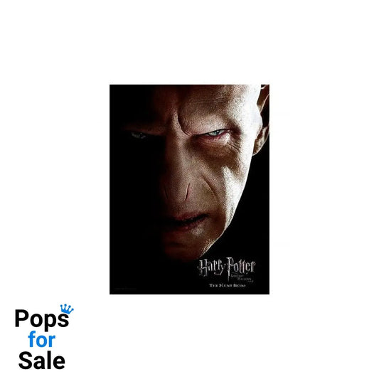 Harry Potter Glass Poster Voldemort 30 x 40 cm