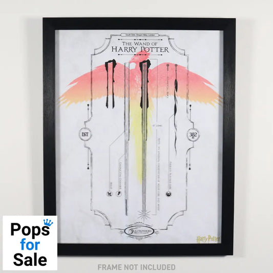 Harry Potter Limited Edition Fan-Cel Fan-Cel