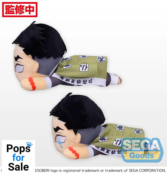 Nesoberi Gyomei Himejima Demon Slayer: Kimetsu no Yaiba Nesoberi