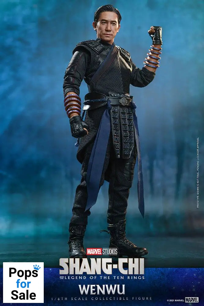 Shang-Chi and the Legend of the Ten Rings Movie Masterpiece Action Figure 1/6 Wenwu 28 cm