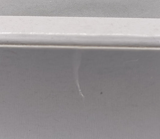 104 Leonardo - Teenage Mutant Ninja Turtles TMNT - 2022 Con - Box Damaged Funko POP