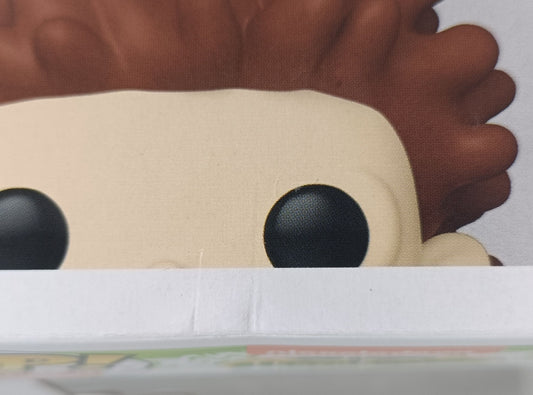 1527 Donnie Thornberry - The Wild Thornberrys - Funko POP - Box Damaged