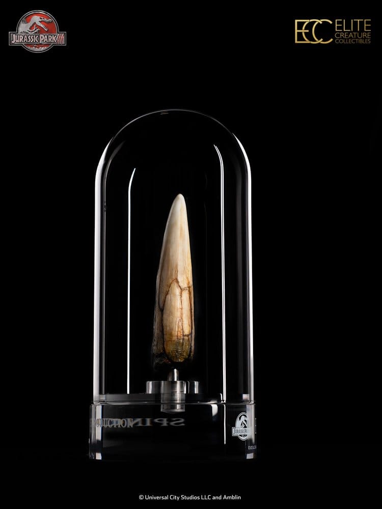 Jurassic Park III Prop Replica 1/1 Spinosaurus Tooth 14 cm