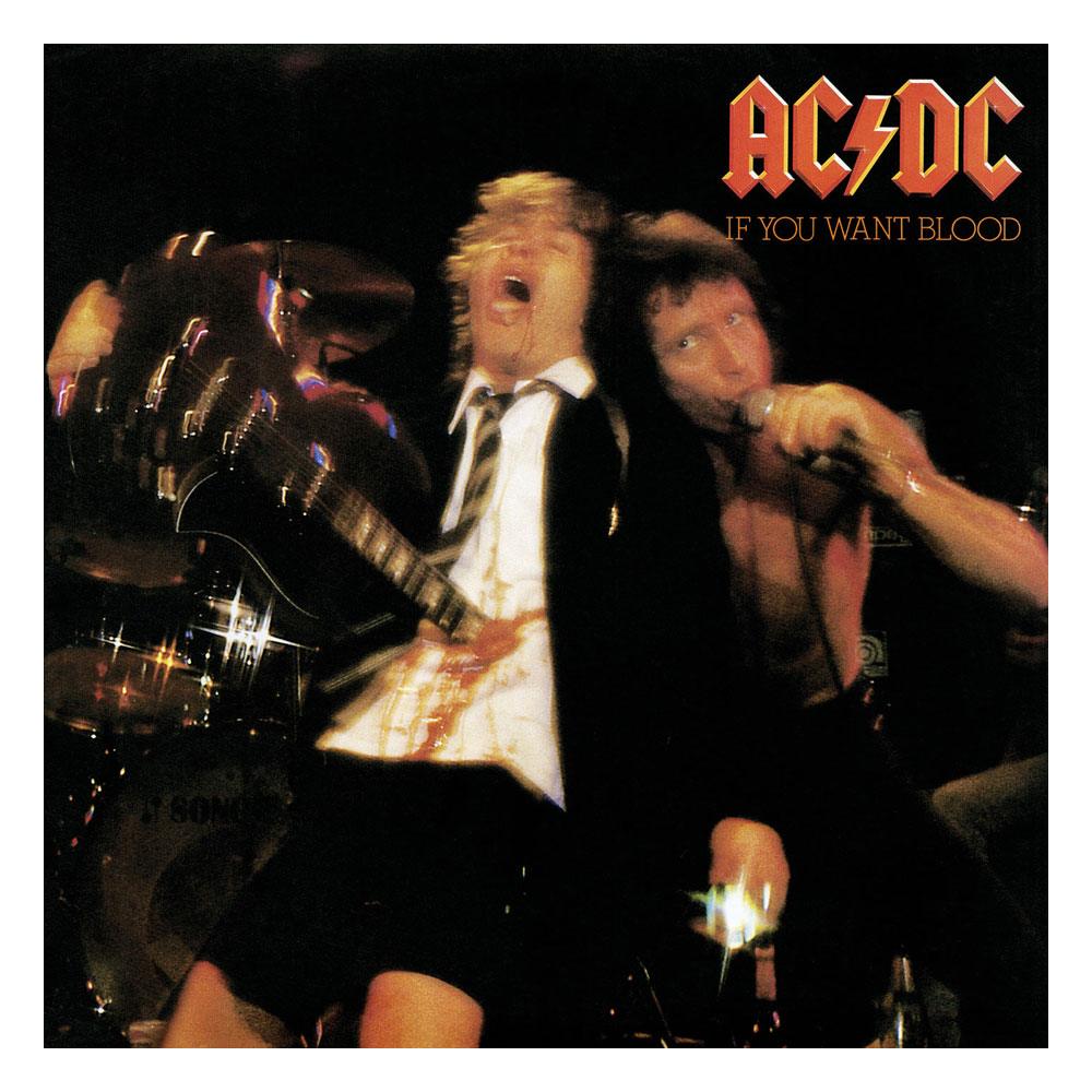AC/DC Rock Saws Jigsaw Puzzle If You Want Blood (500 pieces) Puzzles