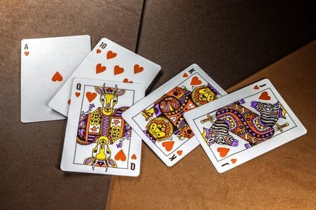 Theory 11 Playing Cards Animal Kingdom