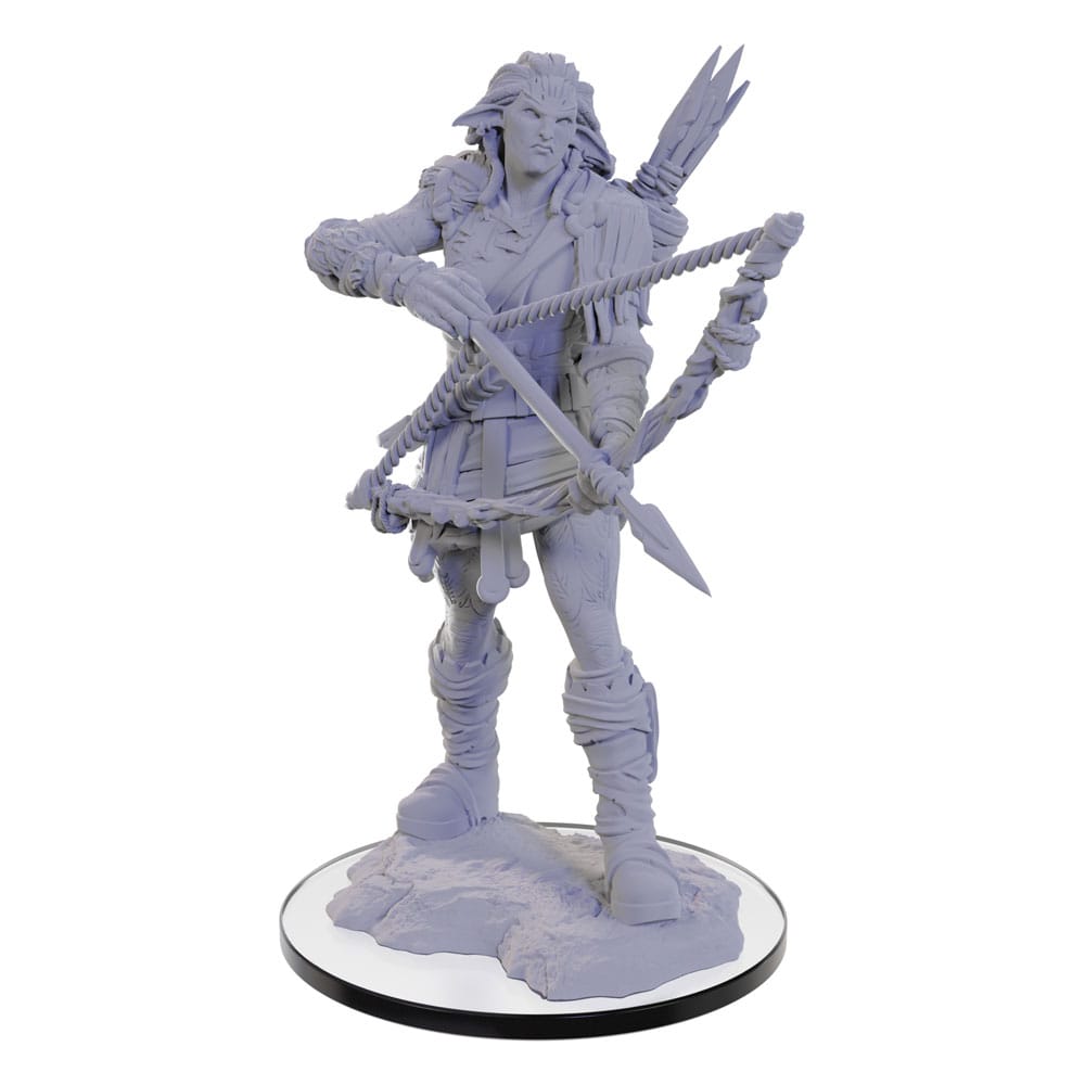 Pathfinder Deep Cuts Unpainted Miniature Wood Giant Miniature Gaming & Tabletop