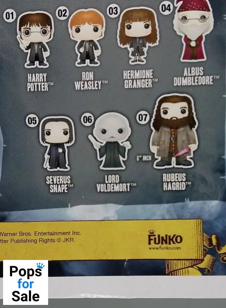 #04 Albus Dumbledore - Harry Potter - Box Damaged Funko POP - PopsforSale.co.uk