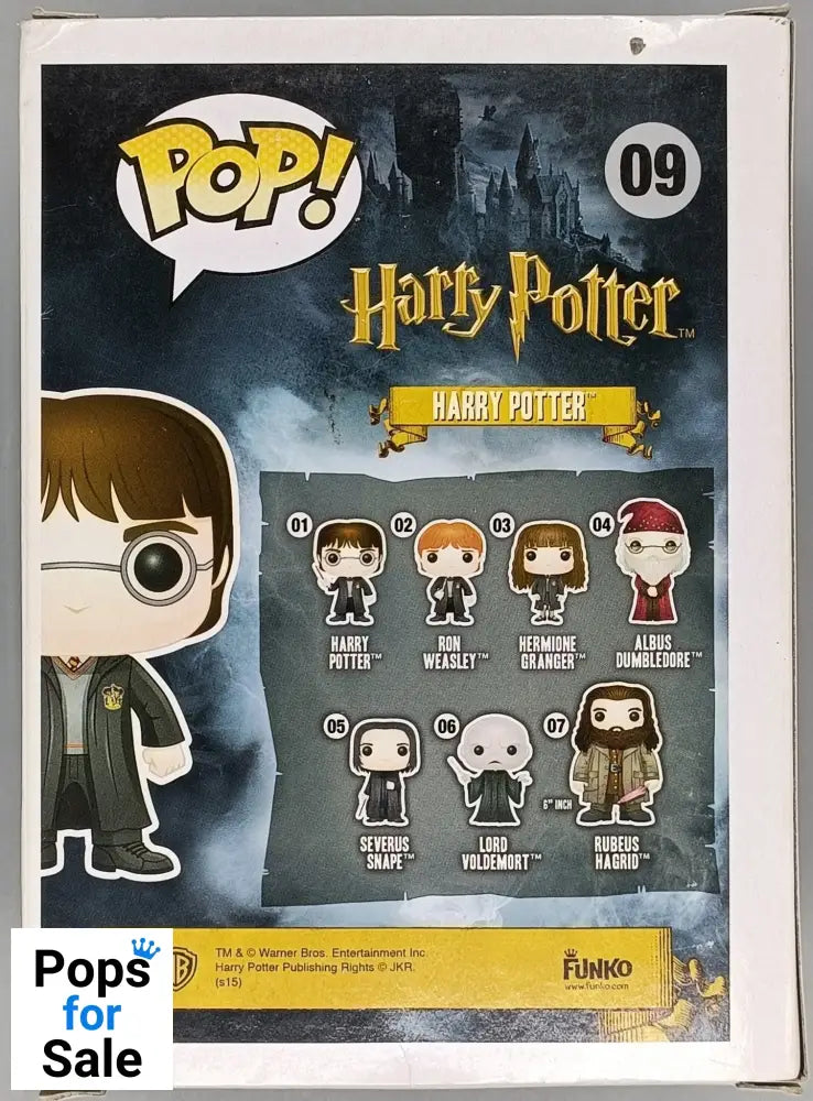 #09 Harry Potter (w/ Sword) - Harry Potter - Box Damaged Funko POP - PopsforSale.co.uk