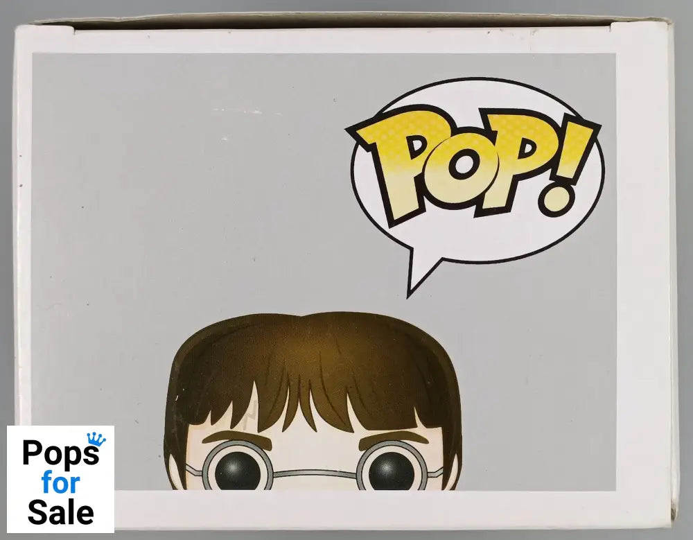 #09 Harry Potter (w/ Sword) - Harry Potter - Box Damaged Funko POP