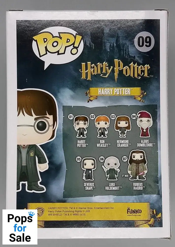 #09 Harry Potter (w/ Sword) - Harry Potter Funko POP - PopsforSale.co.uk