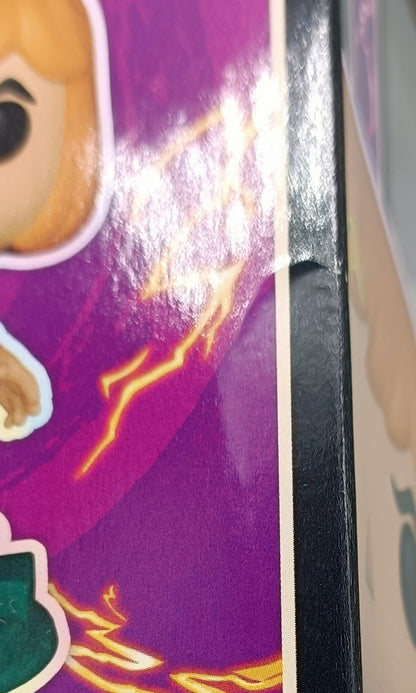 1006 He-Man - Masters of the Universe - Funko Fusion Box Damaged Funko POP