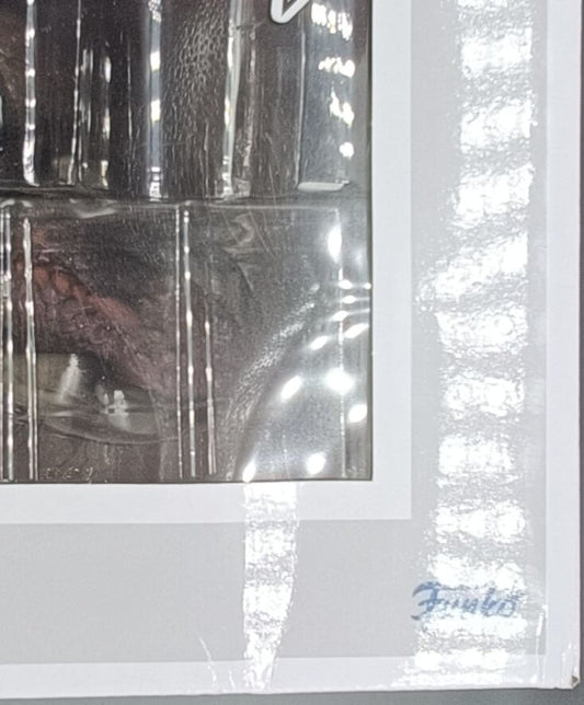 135 Aegon Targaryen w/ Sunfyre - Rides House of the Dragon - Funko POP - Box Damaged