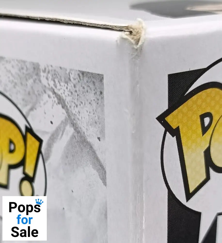 #1038 Cruella (Making Art) - Disney Cruella Box Damaged Funko POP