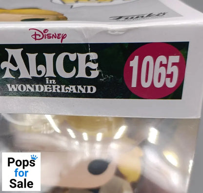 1065 Alice (Falling) - Disney Alice in Wonderland - Funko POP - Box Damaged