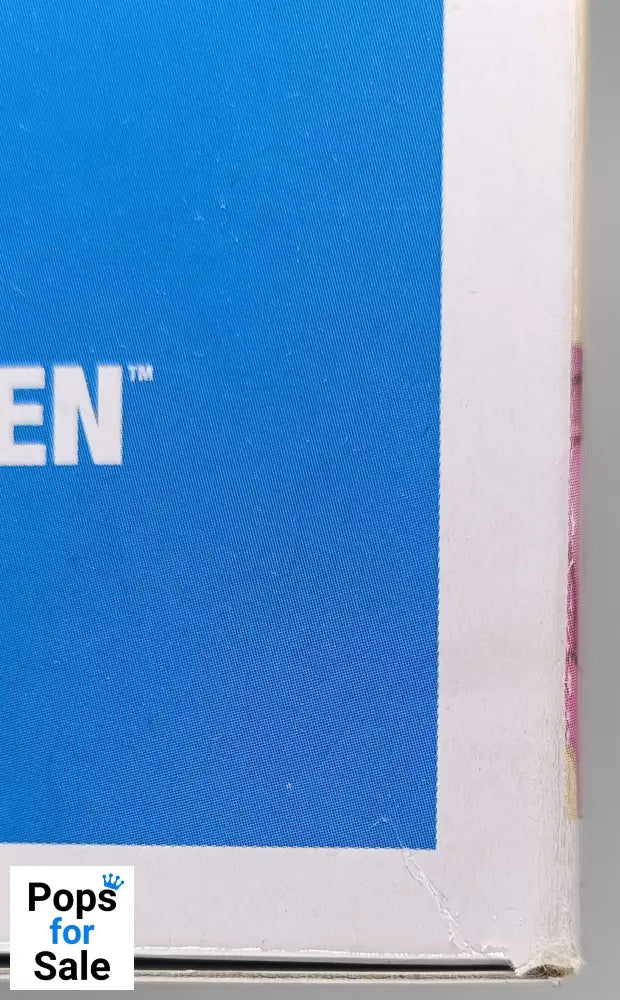1065 Rachel Green (Bridesmaid) - Friends Funko POP - Box Damaged