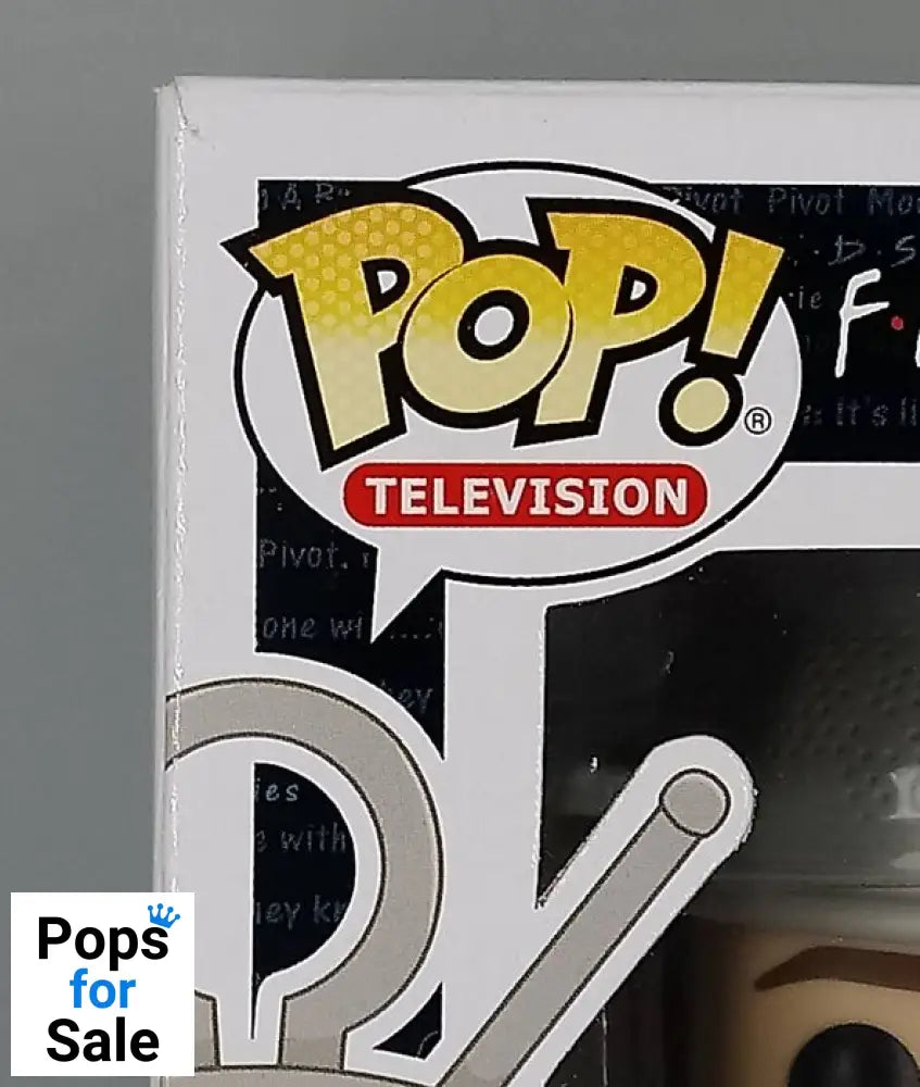 1070 Ross Geller (Spudnik) - Friends - Funko POP - Box Damaged