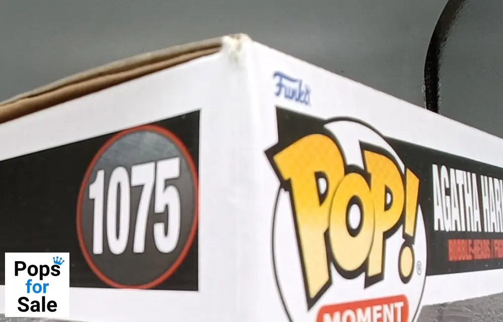 1075 Agatha Harkness vs. The Scarlet Witch TV Moment Funko POP - Box Damaged