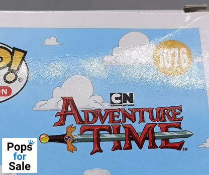 1076 Princess Bubblegum (Rock) - Adventure Time Funko POP - Box Damaged