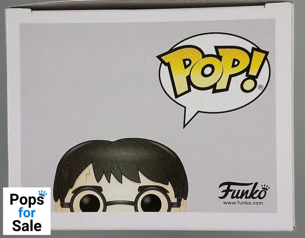 111 Harry Potter (in Invisibility Cloak) - Harry Potter Funko POP