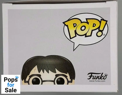 111 Harry Potter (in Invisibility Cloak) - Harry Potter Funko POP