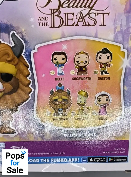 #1135 The Beast (w/ Curls) Disney Beauty & the Beast- Box Damaged Funko POP