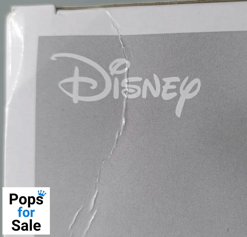 #1173 Penny Proud - Disney The Proud Family - Box Damaged Funko POP