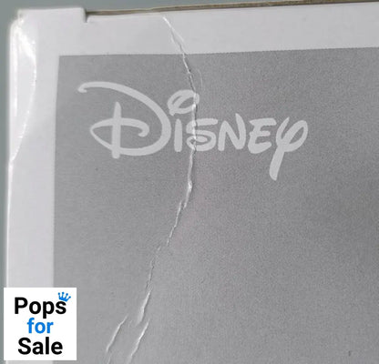 #1173 Penny Proud - Disney The Proud Family - Box Damaged Funko POP