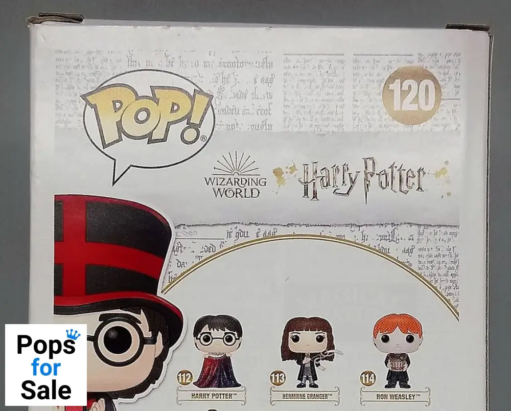 120 Harry Potter (Quidditch World Cup) Harry Potter Box Damaged Funko POP