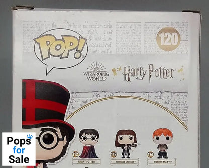 120 Harry Potter (Quidditch World Cup) Harry Potter Box Damaged Funko POP