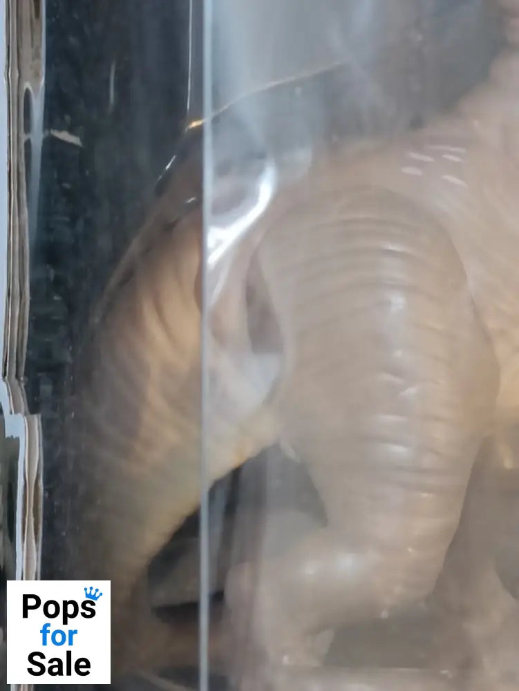 #1222 T.Rex - 10 Inch - Jurassic World Dominion Box Damaged Funko POP