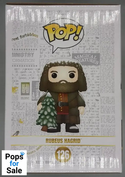 126 Rubeus Hagrid (Holiday) - 6 Inch - Harry Potter Funko POP