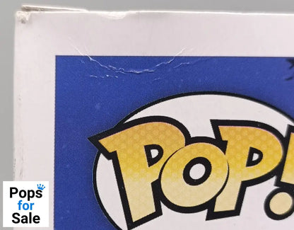 1344 Peter Pan (with Flute) Disney Peter Pan - Funko POP - Box Damaged