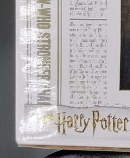 #81 Harry Potter Entering Platform 9 3/4 Movie Moment Box Damaged Funko POP