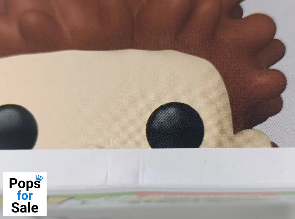 1527 Donnie Thornberry - The Wild Thornberrys - Funko POP - Box Damaged