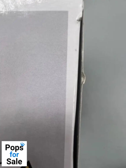 16 Sirius Black - Harry Potter - Funko POP - Box Damaged