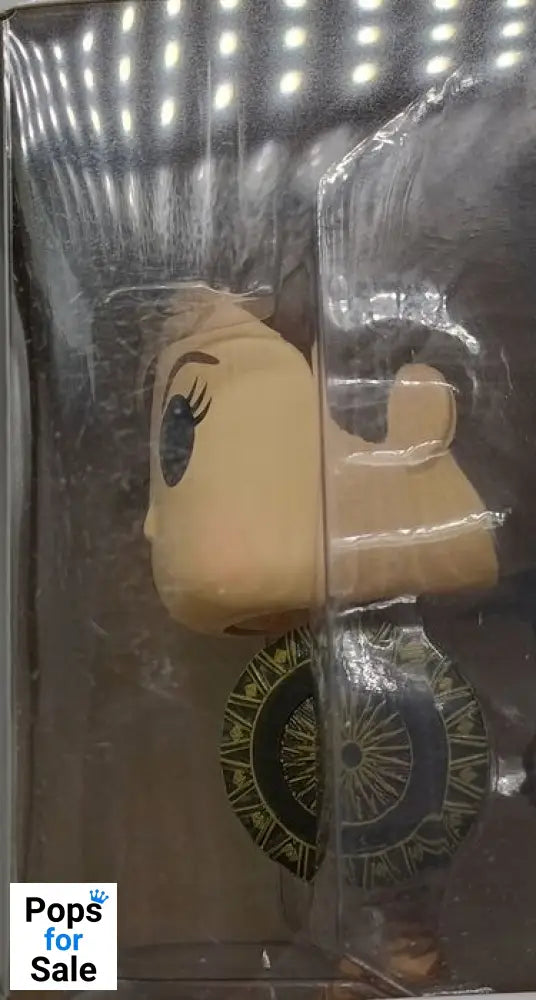 #178 Wonder Woman (Amazon) - DC Wonder Woman Box Damaged Funko POP