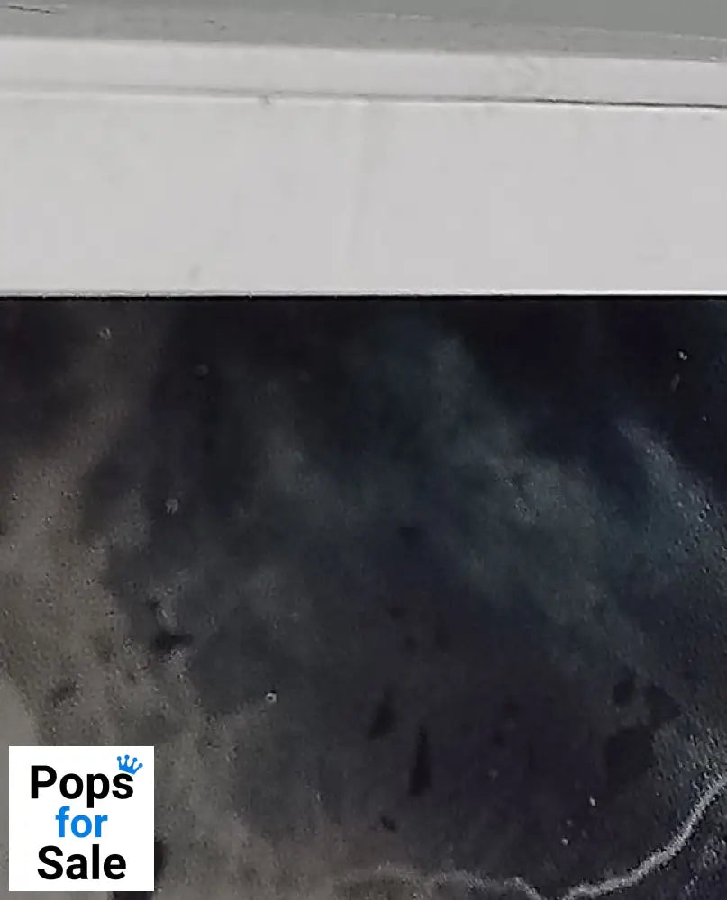 #204 Marcus Fenix (Old) - Gears of War - Box Damaged Funko POP