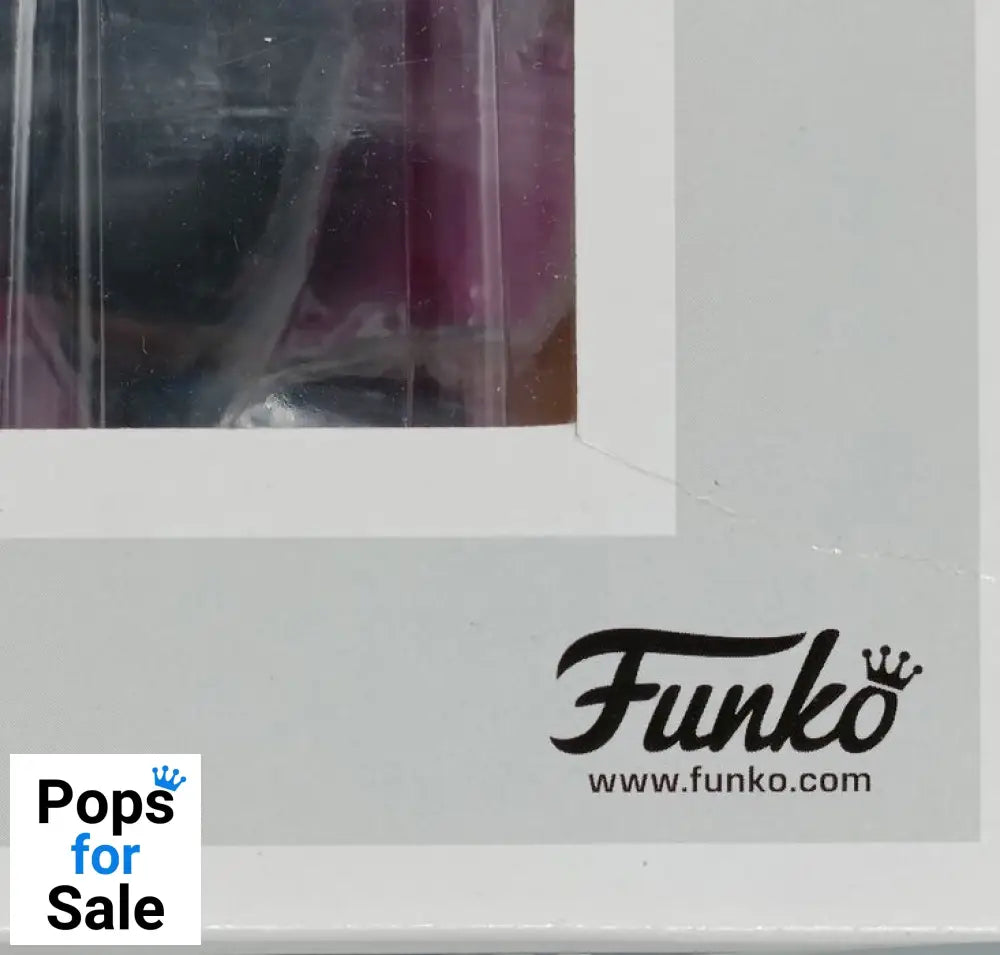 #23 Skeletor with Snake Mountain - Town Masters Of The Universe Box Damaged Funko POP - PopsforSale.co.uk